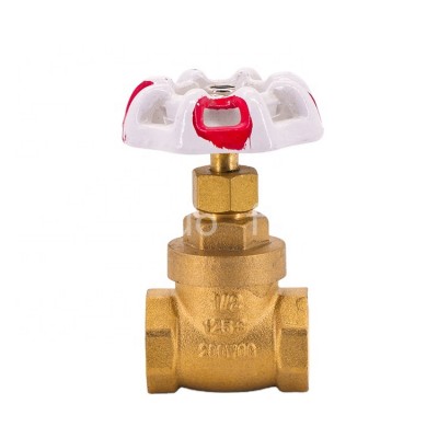 South africa standard  best sales chinese high quality brass gate valve pn16 for oil and gas companies